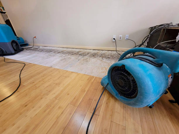 Professional Basement Flood Cleanup technician working in Spartanburg, SC